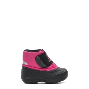 Wren lo td - Rose - #61I-11