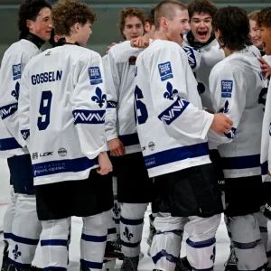 Chandail de Hockey - adulte