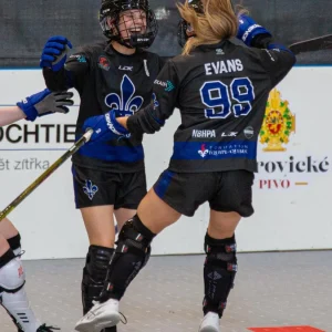 Chandail de Dek Hockey - manches longues