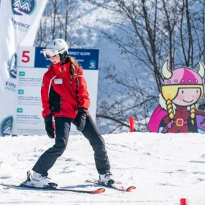 Délinéateur (whisker)