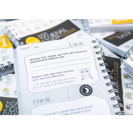 Journal de gratitude : Mon journal du soir - Image 3