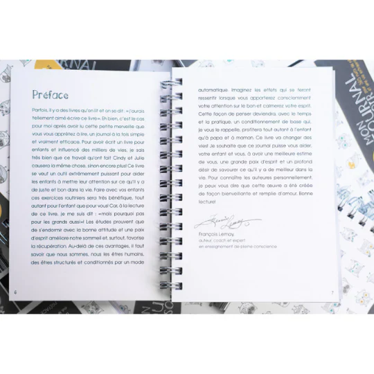 Journal de gratitude : Mon journal du soir - Image 2