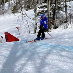 Mousse pour photocellule